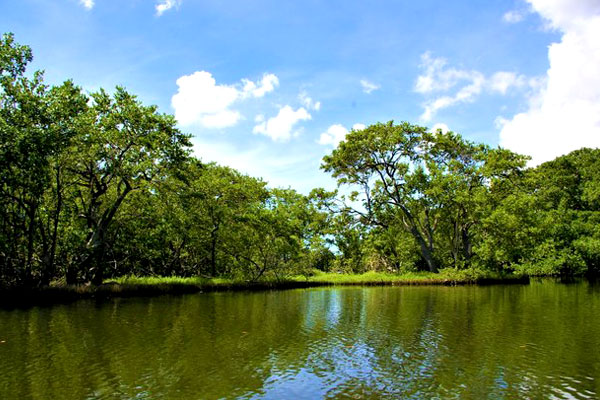Parque Nacional La Restinga isla de margarita